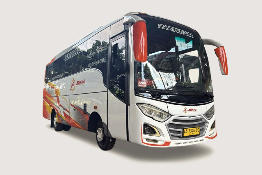 Medium Bus Jetbus MD - 33 Seats